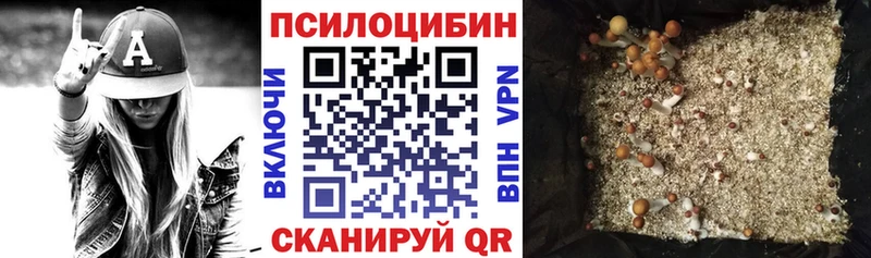 Псилоцибиновые грибы Psilocybe  KRAKEN ТОР  Белёв 
